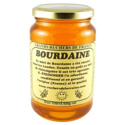 Miel de Bourdaine des Landes (500grs)