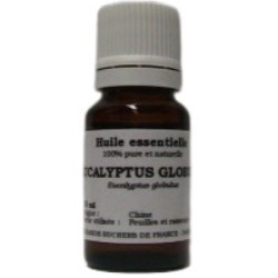 Eucalyptus Globulus ( Eucalyptus globulus - Chine ) - Huile essentielle